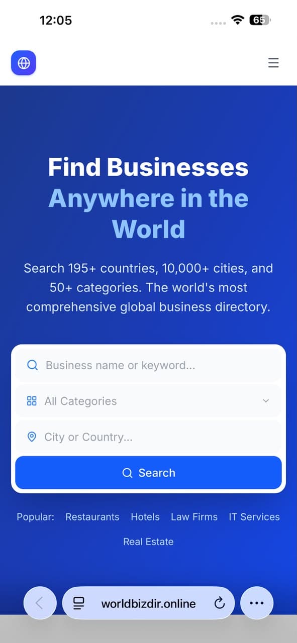 Mobile search experience